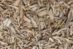 biomass boilers Myton